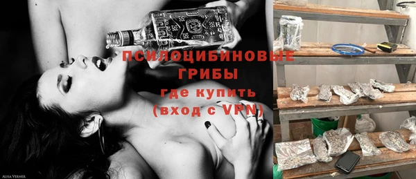 прущий лед Корсаков
