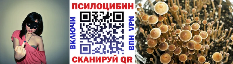 Псилоцибиновые грибы мухоморы  Купить закладки  Клин 